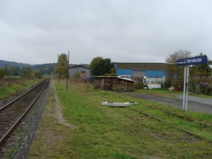 Die Bahnhaltestelle Viermünden, links das Durchgangsgleis, auf dem sonntäglich Sonderfahrten bis Herzhausen (Edersee) abgewickelt werden. Rechts noch das vorhandene Begegnungsgleis aus vergangener Zeit, welches nun auch wieder reaktiviert werden soll.